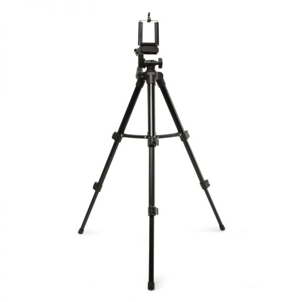 US207 WB5 800x800