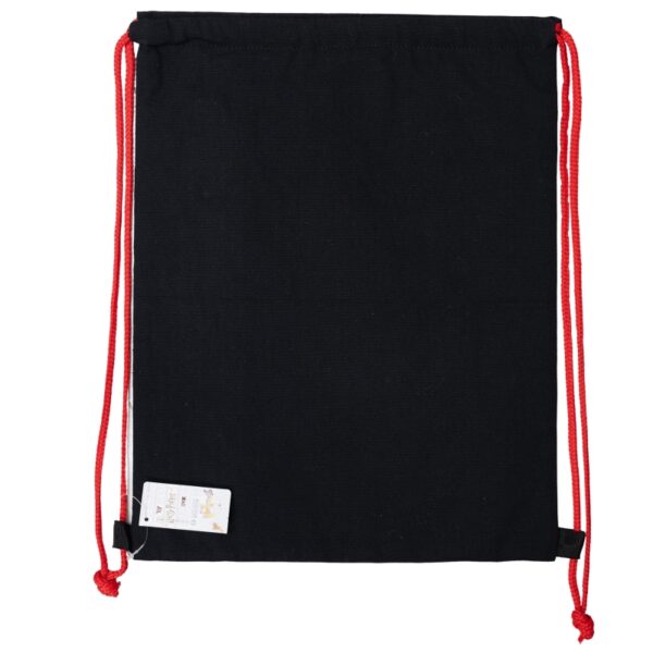insulated friendly drawstring bag harry potter (1)