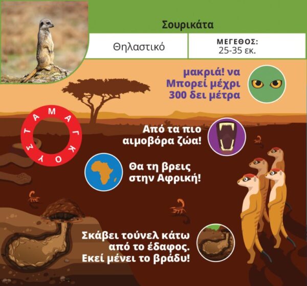 KSEFTERIA ZWAFYTA SOURIKATA 768x715