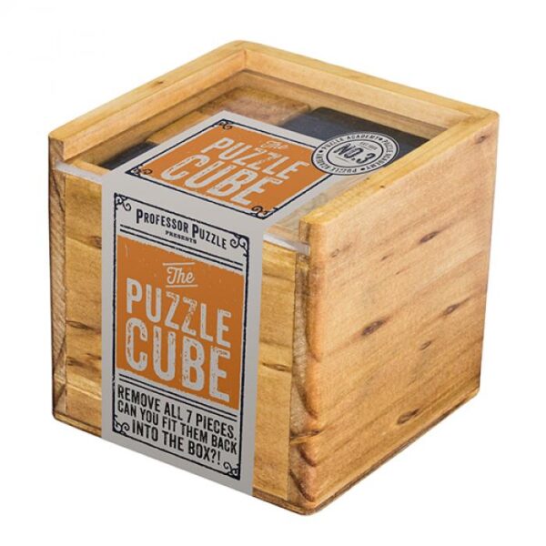 PA 2 Puzzle Academy Puzzle Cube