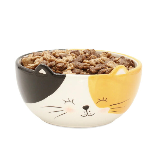 16464 Cat Bowl 2