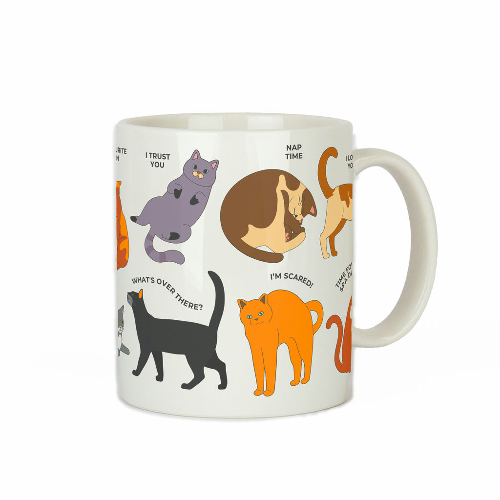18453 How to speak Cat Mug 0