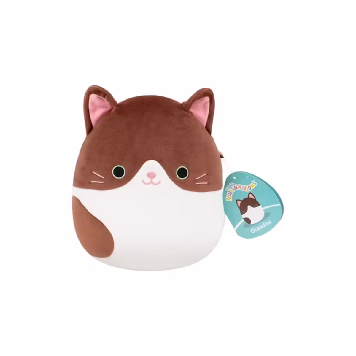 squishmallows loutrina wave 10 6 schedia 19ek jazwares glaudini the brown cat glaudini i gata sqcr08655